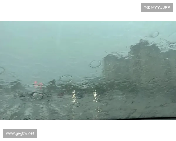 暴雨倾城,惊雷泣九天 暴雨倾城,惊雷泣九天